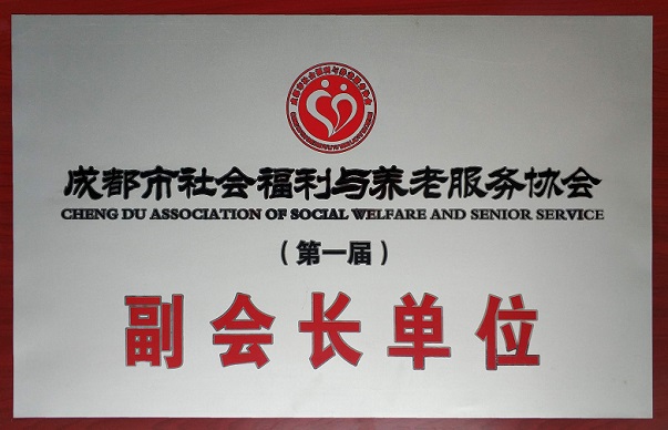成都市社会福利与养老服务协会 副会长单位